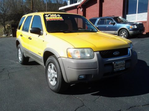 Chrome Yellow Ford Escape XLT V6 4WD.  Click to enlarge.