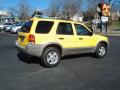 2002 Escape XLT V6 4WD #8