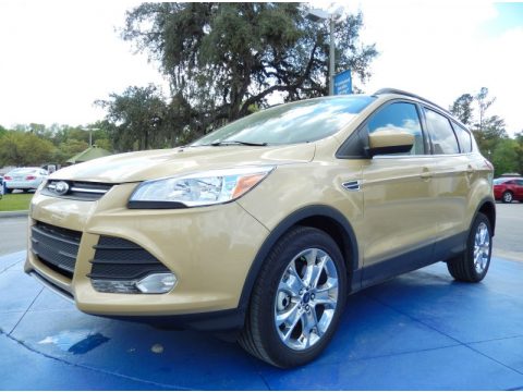 Karat Gold Ford Escape SE 2.0L EcoBoost.  Click to enlarge.