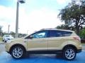  2014 Ford Escape Karat Gold #2