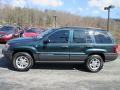  2004 Jeep Grand Cherokee Deep Beryl Green Pearl #5
