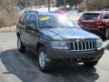2004 Grand Cherokee Laredo 4x4 #15