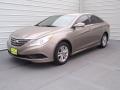 2014 Sonata GLS #7
