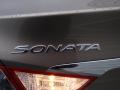 2014 Sonata GLS #13