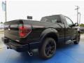 2014 Ford F150 Tuxedo Black #3 2014 Ford F150 Tuxedo Black #3