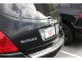 2007 Murano S #5