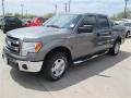 2014 F150 XLT SuperCrew #2 2014 F150 XLT SuperCrew #2