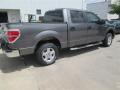 2014 F150 XLT SuperCrew #5 2014 F150 XLT SuperCrew #5