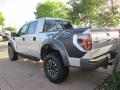 2014 F150 SVT Raptor SuperCrew 4x4 #5