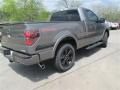 2014 F150 FX2 Tremor Regular Cab #6