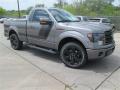 Front 3/4 View of 2014 Ford F150 FX2 Tremor Regular Cab #7