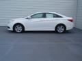 2014 Sonata GLS #6