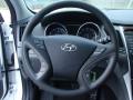2014 Sonata GLS #29