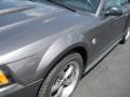 2004 Mustang GT Coupe #11