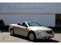 2010 Sebring LX Convertible #2 2010 Sebring LX Convertible #2
