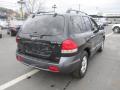 2005 Santa Fe GLS 4WD #6 2005 Santa Fe GLS 4WD #6
