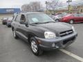 2005 Santa Fe GLS 4WD #8 2005 Santa Fe GLS 4WD #8