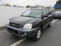 2005 Santa Fe GLS 4WD #10 2005 Santa Fe GLS 4WD #10