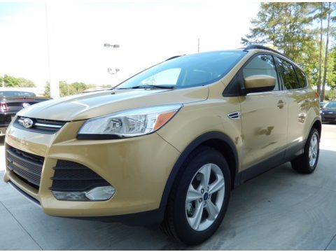 Karat Gold Ford Escape SE 1.6L EcoBoost.  Click to enlarge.