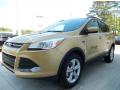 2014 Escape SE 1.6L EcoBoost #1