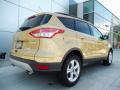 2014 Escape SE 1.6L EcoBoost #2