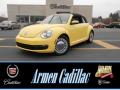 2013 Beetle 2.5L Convertible #1 2013 Beetle 2.5L Convertible #1