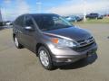 2011 CR-V SE 4WD #5 2011 CR-V SE 4WD #5