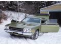 1973 Satellite Road Runner #28 1973 Satellite Road Runner #28