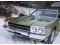1973 Satellite Road Runner #29 1973 Satellite Road Runner #29