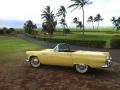 1955 Thunderbird Convertible #1