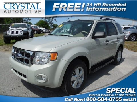 Sterling Grey Metallic Ford Escape XLT.  Click to enlarge.