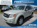 2009 Escape XLT #1