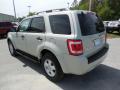 2009 Escape XLT #3