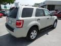 2009 Escape XLT #9