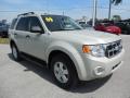 2009 Escape XLT #11