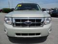 2009 Escape XLT #14
