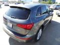 2014 Q5 3.0 TFSI quattro #7