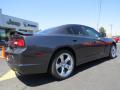 2014 Charger R/T #7 2014 Charger R/T #7