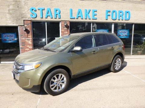 Ginger Ale Metallic Ford Edge Limited AWD.  Click to enlarge.