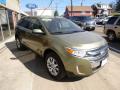 2013 Edge Limited AWD #3