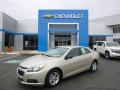 2014 Malibu LS #1 2014 Malibu LS #1