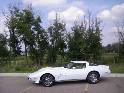 Classic White Chevrolet Corvette Coupe.  Click to enlarge.