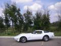  1979 Chevrolet Corvette Classic White #1