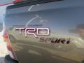 2010 Tacoma V6 SR5 TRD Sport Double Cab 4x4 #4