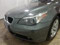 2005 5 Series 530i Sedan #9