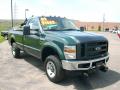 2009 F250 Super Duty XL Regular Cab 4x4 #2
