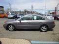  2007 Hyundai Azera Steel Gray Metallic #8
