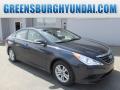 2014 Sonata GLS #1