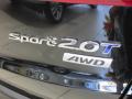 2013 Santa Fe Sport 2.0T AWD #7