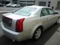 2004 CTS Sedan #13